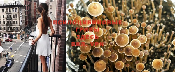 молекула духа Баксан