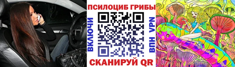 Галлюциногенные грибы Magic Shrooms  продажа наркотиков  маркетплейс официальный сайт  Губаха 