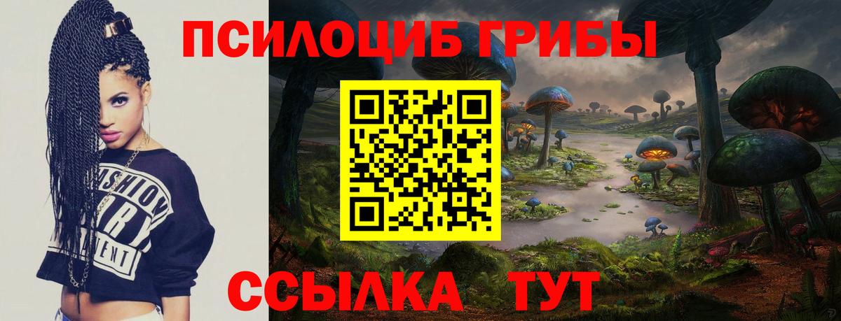 Галлюциногенные грибы Psilocybe Губаха
