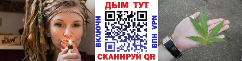 Шишки марихуана OG Kush Губаха